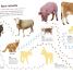 Ultimate Sticker Book: Farm - thumbnail of spread image 4 Thumbnail image of Ultimate Sticker Book: Farm - 4