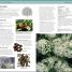 Herbal Remedies Handbook - thumbnail of spread image 3 Thumbnail image of Herbal Remedies Handbook - 3