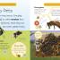 Bugs, Bees, and Other Buzzy Creatures - thumbnail of spread image 3 Thumbnail image of Bugs, Bees, and Other Buzzy Creatures - 3