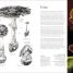 Botany for the Artist - thumbnail of spread image 4 Thumbnail image of Botany for the Artist - 4