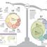 What's Really Happening to Our Planet? - thumbnail of spread image 6 Thumbnail image of What's Really Happening to Our Planet? - 6