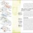 Unsolved Murders - thumbnail of spread image 4 Thumbnail image of Unsolved Murders - 4