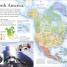 The New Children's Encyclopedia - thumbnail of spread image 5 Thumbnail image of The New Children's Encyclopedia - 5