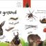 My First Nature Let's Go Exploring - thumbnail of spread image 2 Thumbnail image of My First Nature Let's Go Exploring - 2