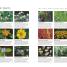 Canadian Gardener's Guide 3rd Edition - thumbnail of spread image 5 Thumbnail image of Canadian Gardener's Guide 3rd Edition - 5