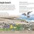 Seashore - thumbnail of spread image 2 Thumbnail image of Seashore - 2