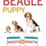 Your Beagle Puppy Month by Month - thumbnail of spread image 1 Thumbnail image of Your Beagle Puppy Month by Month - 1