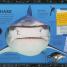 Sharkpedia - thumbnail of spread image 1 Thumbnail image of Sharkpedia - 1