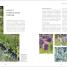 Your Well-Being Garden - thumbnail of spread image 4 Thumbnail image of Your Well-Being Garden - 4