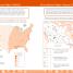 DK Workbooks: Geography, Fifth Grade - thumbnail of spread image 4 Thumbnail image of DK Workbooks: Geography, Fifth Grade - 4