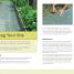 Straw Bale Gardening - thumbnail of spread image 3 Thumbnail image of Straw Bale Gardening - 3