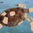 Ultimate Sticker Book: Ocean - thumbnail of spread image 3 Thumbnail image of Ultimate Sticker Book: Ocean - 3