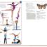 Merriam-Webster Children's Dictionary - thumbnail of spread image 3 Thumbnail image of Merriam-Webster Children's Dictionary - 3