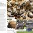 The Bee Book - thumbnail of spread image 9 Thumbnail image of The Bee Book - 9