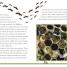 DK Adventures: Bug Hunters - thumbnail of spread image 3 Thumbnail image of DK Adventures: Bug Hunters - 3