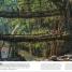 Trees, Leaves, Flowers & Seeds - thumbnail of spread image 7 Thumbnail image of Trees, Leaves, Flowers & Seeds - 7