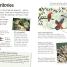 Birds - thumbnail of spread image 4 Thumbnail image of Birds - 4