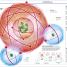 Knowledge Encyclopedia Science! - thumbnail of spread image 6 Thumbnail image of Knowledge Encyclopedia Science! - 6