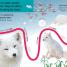 Follow the Trail Winter Wonderland - thumbnail of spread image 1 Thumbnail image of Follow the Trail Winter Wonderland - 1