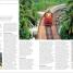 Indian Railways - thumbnail of spread image 3 Thumbnail image of Indian Railways - 3