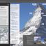 Mountaineers - thumbnail of spread image 3 Thumbnail image of Mountaineers - 3