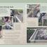 Allotment Handbook - thumbnail of spread image 4 Thumbnail image of Allotment Handbook - 4