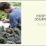 Grow Food for Free - thumbnail of spread image 5 Thumbnail image of Grow Food for Free - 5