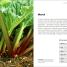 Allotment Month By Month - thumbnail of spread image 3 Thumbnail image of Allotment Month By Month - 3