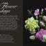 Biodynamic Gardening - thumbnail of spread image 2 Thumbnail image of Biodynamic Gardening - 2