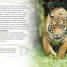 DK Readers L4: Spiders and Other Deadly Animals - thumbnail of spread image 2 Thumbnail image of DK Readers L4: Spiders and Other Deadly Animals - 2