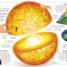 DK Eyewitness Books: Energy - thumbnail of spread image 2 Thumbnail image of DK Eyewitness Books: Energy - 2