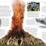 Endangered Animals - thumbnail of spread image 2 Thumbnail image of Endangered Animals - 2