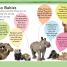 DK Readers L2: The Great Panda Tale - thumbnail of spread image 4 Thumbnail image of DK Readers L2: The Great Panda Tale - 4