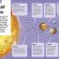 How to Be a Scientist - thumbnail of spread image 4 Thumbnail image of How to Be a Scientist - 4