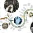 Big History - thumbnail of spread image 3 Thumbnail image of Big History - 3