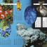 Earth - thumbnail of spread image 4 Thumbnail image of Earth - 4