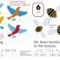 DK Braille Counting - thumbnail of spread image 5 Thumbnail image of DK Braille Counting - 5