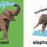 Baby Touch and Feel: Roar! Roar! - thumbnail of spread image 2 Thumbnail image of Baby Touch and Feel: Roar! Roar! - 2