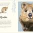 An Anthology of Intriguing Animals - thumbnail of spread image 6 Thumbnail image of An Anthology of Intriguing Animals - 6