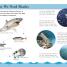 DK Readers L3: Shark Attack! - thumbnail of spread image 2 Thumbnail image of DK Readers L3: Shark Attack! - 2