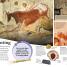 DKfindout! Stone Age - thumbnail of spread image 2 Thumbnail image of DKfindout! Stone Age - 2