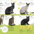 The Everything Book of Cats and Kittens - thumbnail of spread image 4 Thumbnail image of The Everything Book of Cats and Kittens - 4
