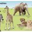 My First Baby Animals - thumbnail of spread image 2 Thumbnail image of My First Baby Animals - 2