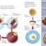 DKfindout! Science - thumbnail of spread image 3 Thumbnail image of DKfindout! Science - 3