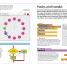 Computer Coding Projects For Kids - thumbnail of spread image 3 Thumbnail image of Computer Coding Projects For Kids - 3