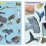 Ultimate Sticker Book: Sharks - thumbnail of spread image 3 Thumbnail image of Ultimate Sticker Book: Sharks - 3