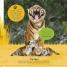 The Incredible Fold-Out Book of Animals - thumbnail of spread image 6 Thumbnail image of The Incredible Fold-Out Book of Animals - 6