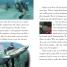 DK Readers L3: Shark Attack! - thumbnail of spread image 3 Thumbnail image of DK Readers L3: Shark Attack! - 3