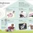 The Everything Book of Dogs and Puppies - thumbnail of spread image 4 Thumbnail image of The Everything Book of Dogs and Puppies - 4