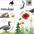 My First Nature Let's Go Exploring - thumbnail of spread image 3 Thumbnail image of My First Nature Let's Go Exploring - 3